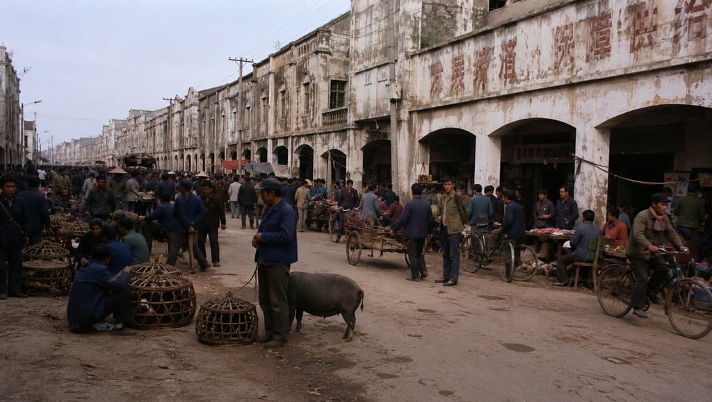 赶集老街，骑楼店铺林立，人群熙攘，地摊售卖活猪与竹笼，年代怀旧写实场景
