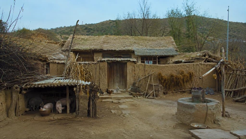 乡村土墙院落，柴门猪圈鸡舍，压水井，年代怀旧写实风格