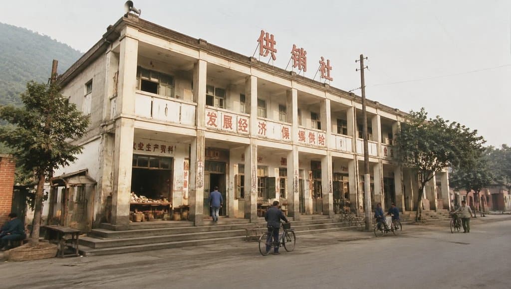 乡镇供销社建筑，骑楼柱廊，红色店招，台阶入口，年代怀旧写实风格