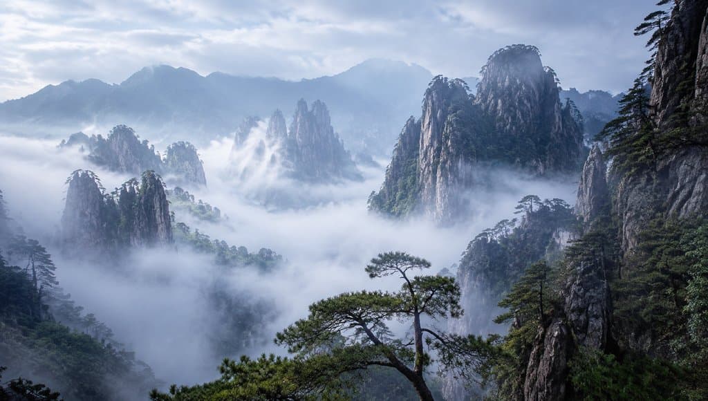 云雾缭绕的灵雾峰林，古松挺立，东方仙侠写实风格山景