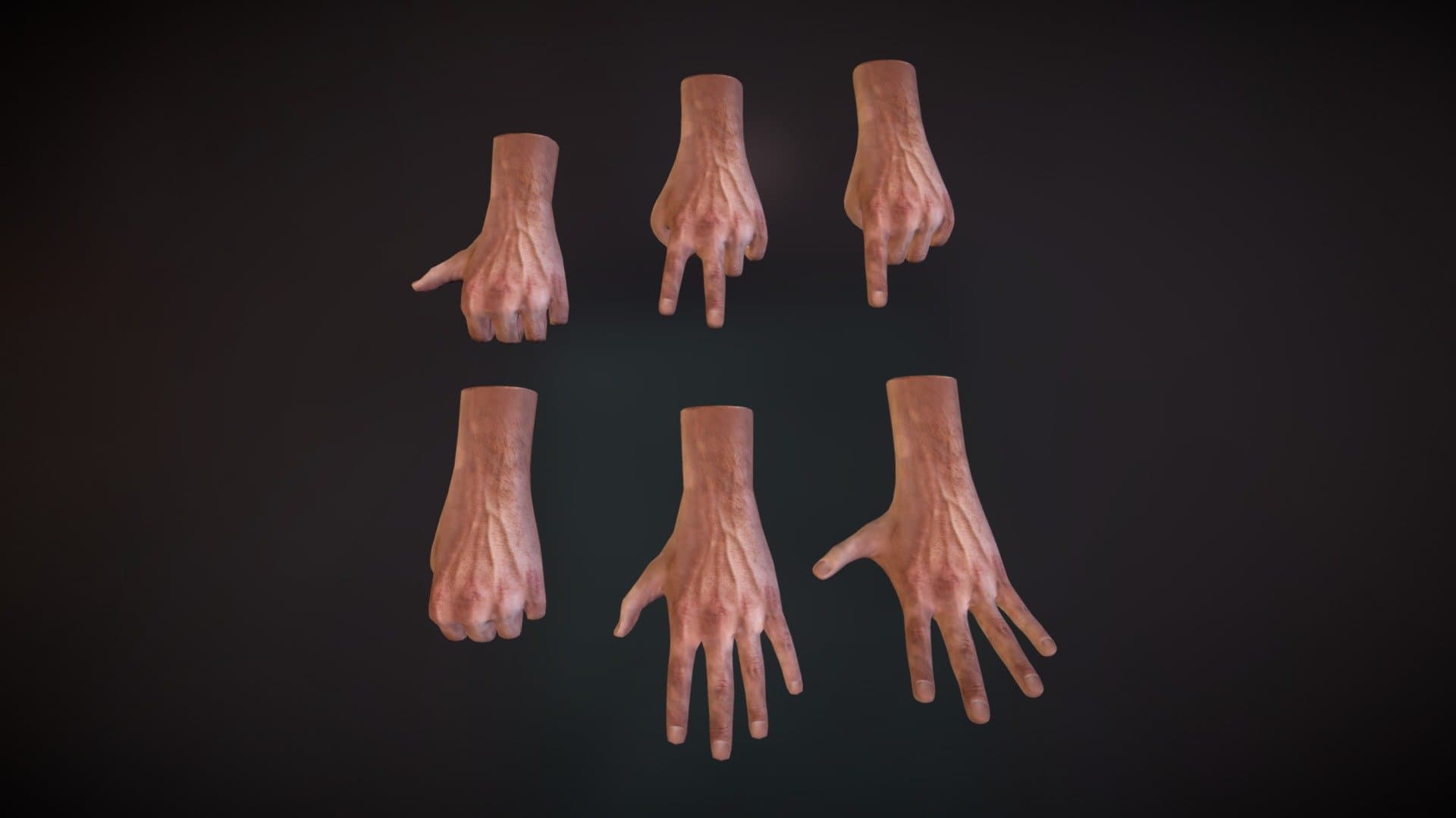 六只不同手势的逼真3D手模型，展示多种姿态，写实风格